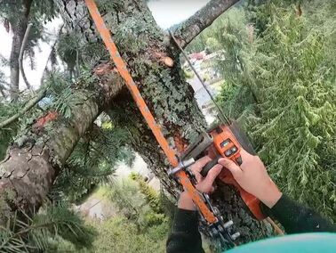 POV of tree service worker using chainsaw up high in tree