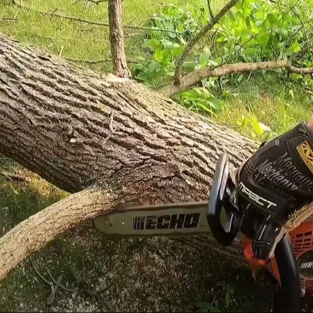 man harnessed to tree using chainsaw to cut a section down